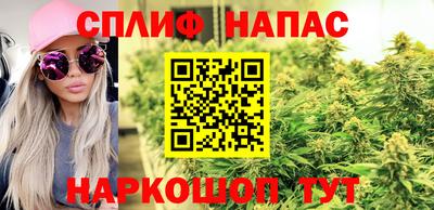 прущие грибы Брянск