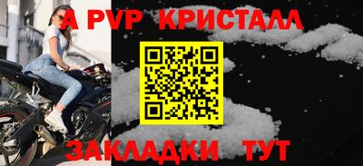 прущие грибы Брянск