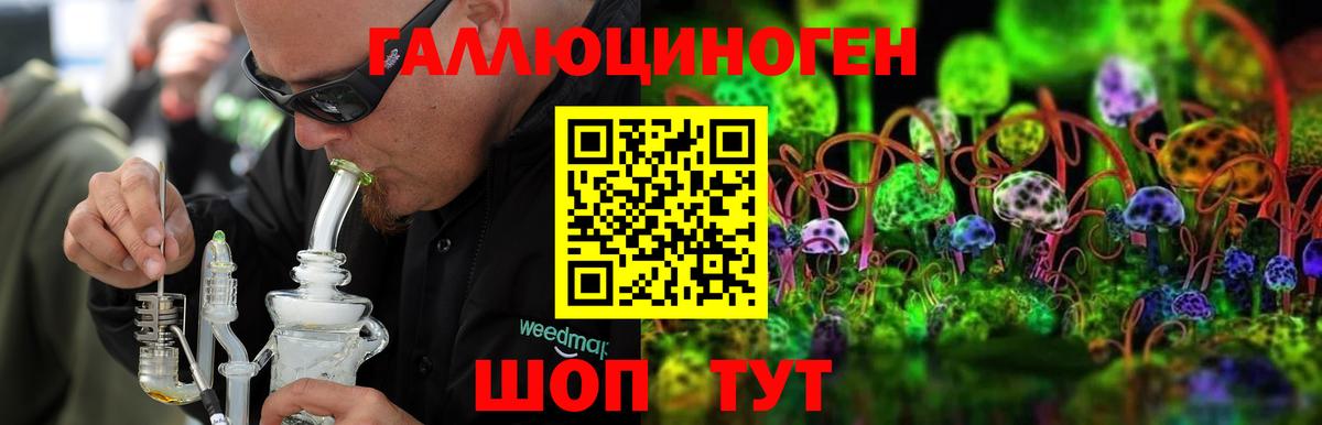 Галлюциногенные грибы мицелий  Вход с VPN  Галлюциногенные грибы Cubensis  сколько стоит  Альметьевск 