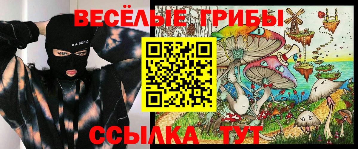 Галлюциногенные грибы Psilocybine cubensis Альметьевск